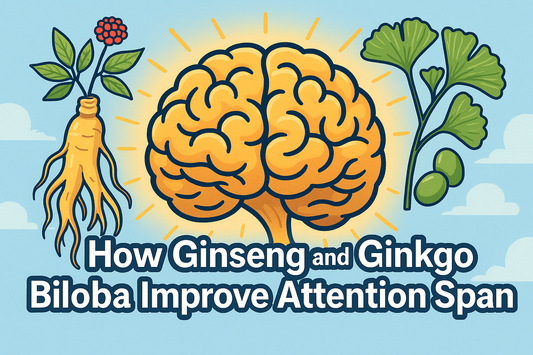How Ginseng and Ginkgo Biloba Improve Attention Span
