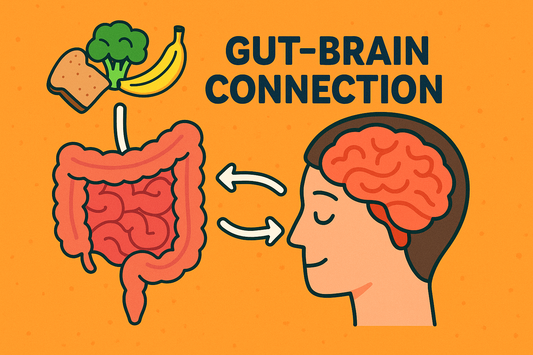 The Gut-Brain Connection: Why Digestion Affects Social Anxiety