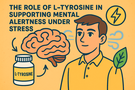 The Role of L-Tyrosine in Supporting Mental Alertness Under Stress
