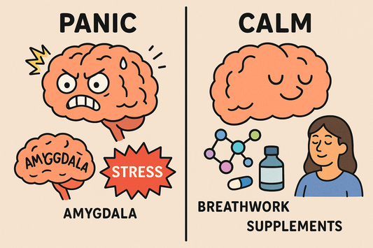 What Really Happens in Your Brain During a Panic Attack