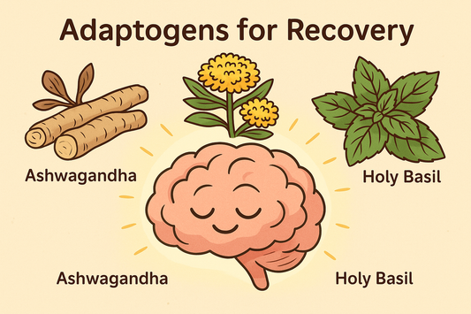 Adaptogens for Recovery: Ashwagandha, Rhodiola, and Beyond