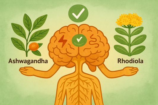 Adaptogens (Ashwagandha, Rhodiola) for Stress-Related Dissociation
