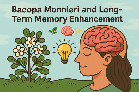 Bacopa Monnieri and Long-Term Memory Enhancement