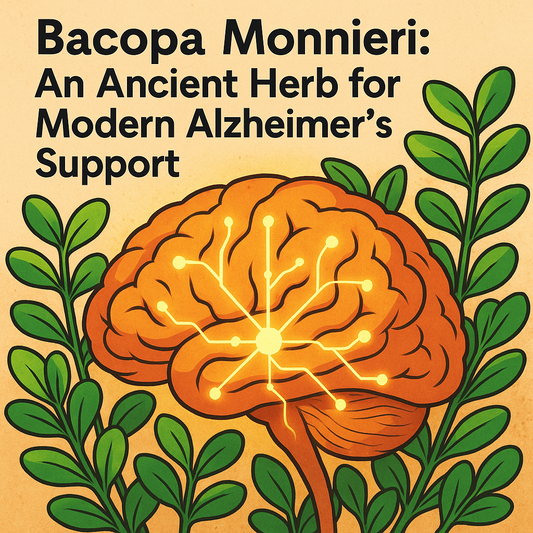 Bacopa Monnieri: An Ancient Herb for Modern Alzheimer’s Support