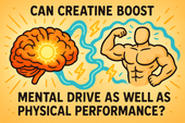 Can Creatine Boost Mental Drive as Well as Physical Performance?