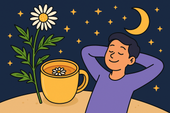 Chamomile Extract for Relaxation: Nature’s Gentle Remedy for Calm and Sleep