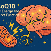 CoQ10 for Energy and Nerve Function