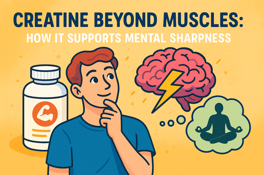 Creatine Beyond Muscles: How It Supports Mental Sharpness