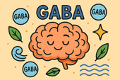 GABA Supplements for Reducing Anxiety and Mood Swings