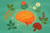 Herbal Remedies That Support Stress Tolerance: Nature’s Answer to Daily Pressure