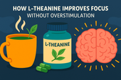How L-Theanine Improves Focus Without Overstimulation