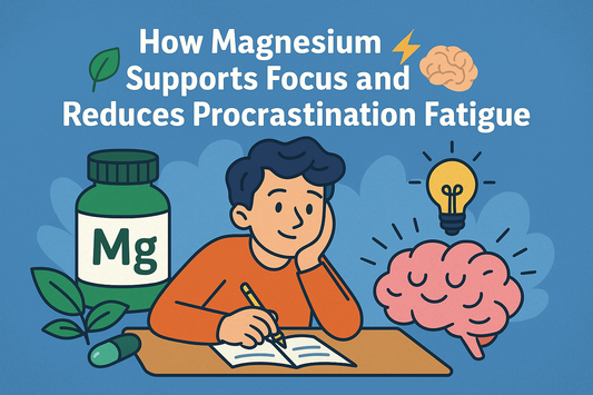 How Magnesium Supports Focus and Reduces Procrastination Fatigue