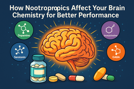 How Nootropics Affect Your Brain Chemistry for Better Performance