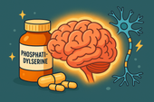 How Phosphatidylserine Protects Brain Cells and Improves Focus
