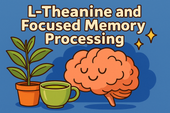 L-Theanine and Focused Memory Processing