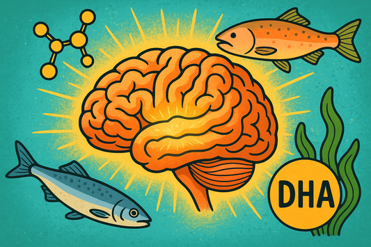 Omega-3s and Early Alzheimer’s: Can DHA Protect Brain Cells?