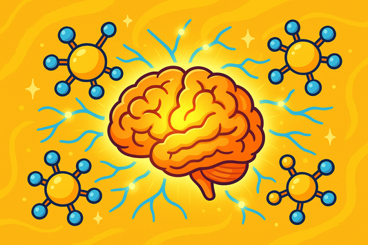 Phosphatidylserine and Dissociation: Supporting Cognitive Function