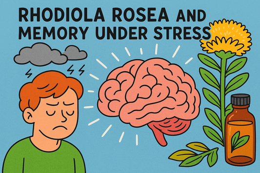 Rhodiola Rosea and Memory Under Stress