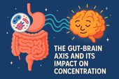 The Gut-Brain Axis and Its Impact on Concentration