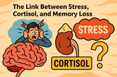 The Link Between Stress, Cortisol, and Memory Loss