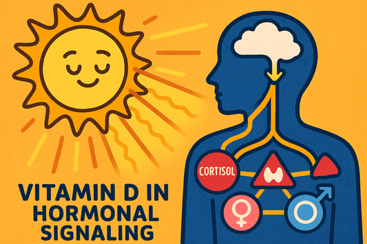 The Role of Vitamin D in Hormonal Signaling