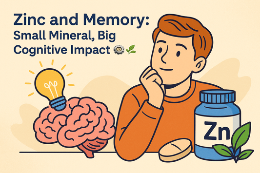 Zinc and Memory: Small Mineral, Big Cognitive Impact